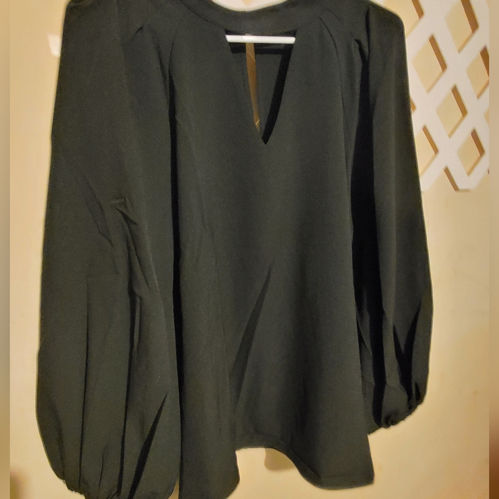 NWOT Marc Bower dressy long sleeve blouse